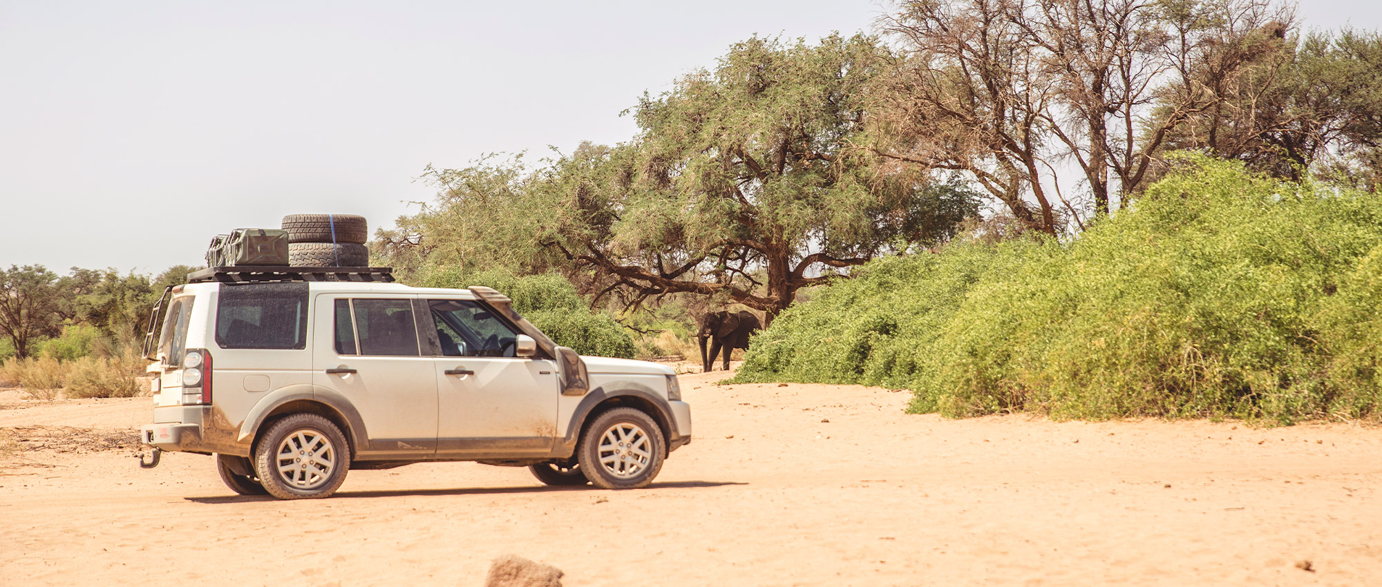 Slide #1 copy Slide background