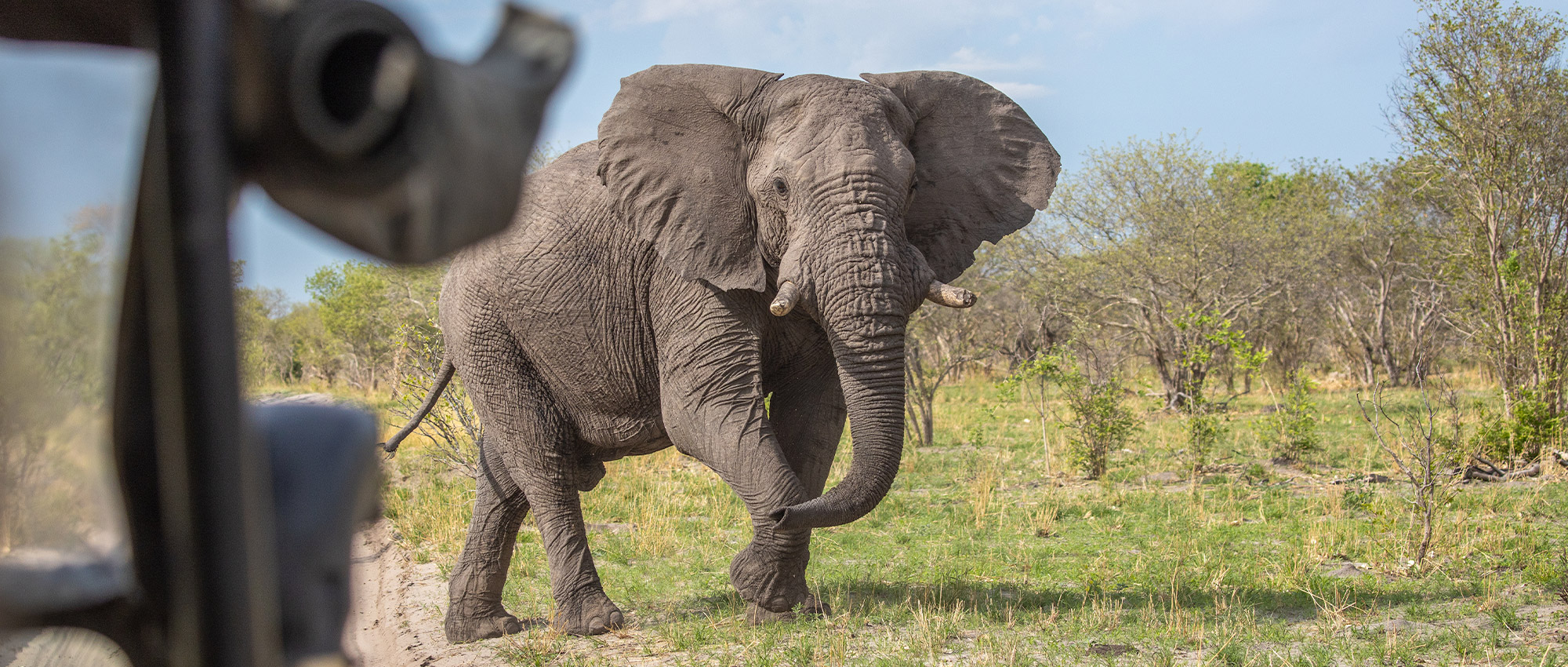 Slide #1 copy copy copy Slide background