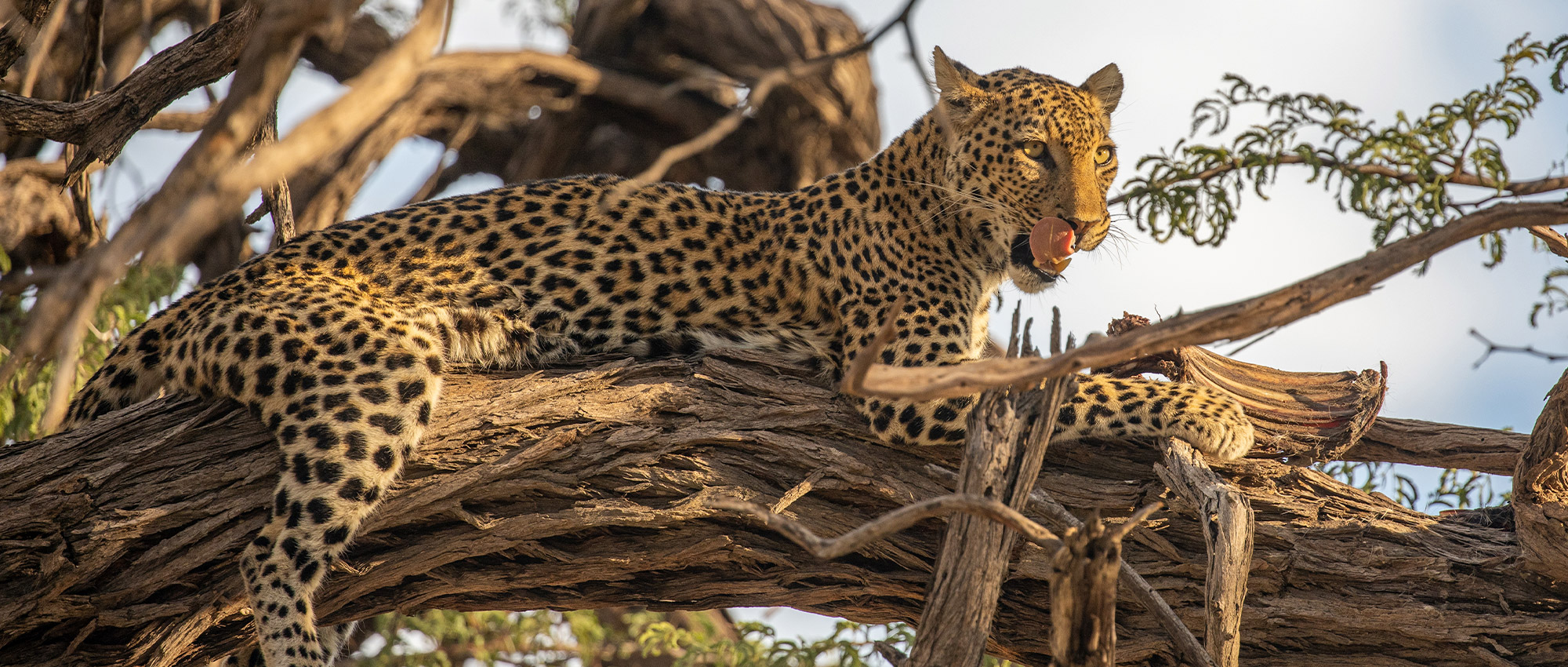 Slide #1 copy copy copy copy copy Slide background